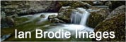 Ian Brodie Logo