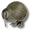 The Kiwi Site Logo