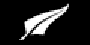 NZ Fern Flag logo